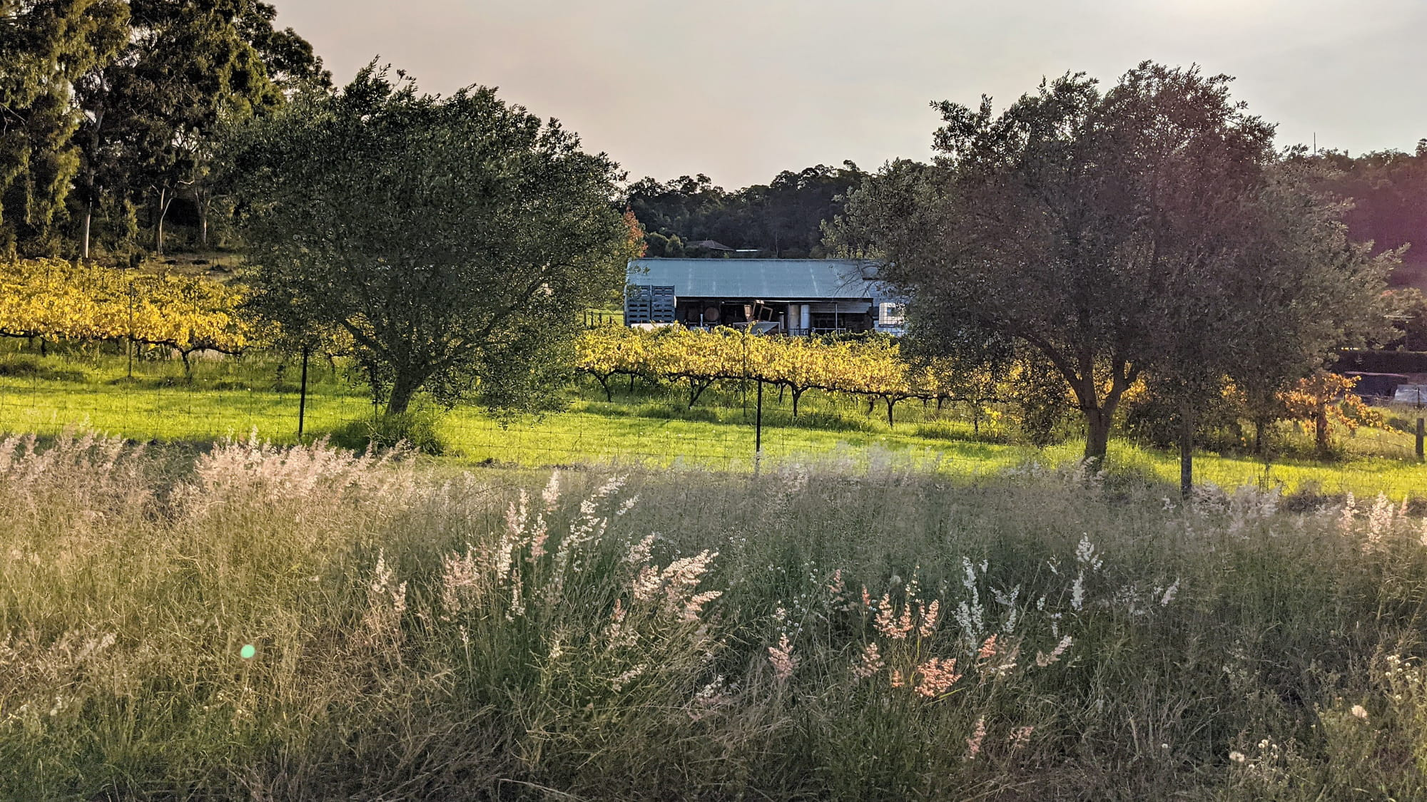 Perth Hills Wine Region Wineries and Vineyards WineVine WA